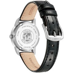 Женские часы Citizen Eco-Drive EW3260-17AE  цена и информация | Женские часы | hansapost.ee