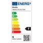Nutikas värviline lambipirn Wi-Fi Shelly DUO RGBW цена и информация | Lambipirnid ja LED-pirnid | hansapost.ee