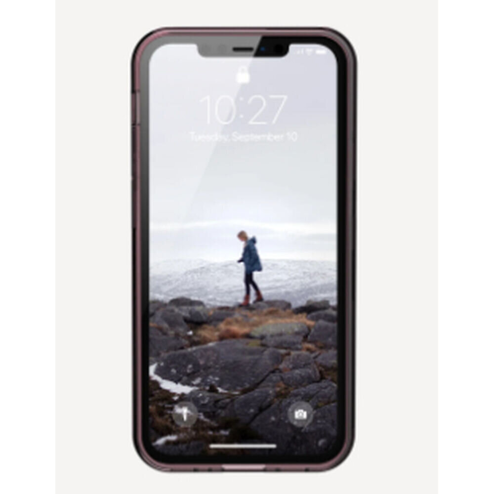 Mobiiltelefoni Kaaned Urban Armor Gear 11234N314848 iPhone 12 Mini цена и информация | Telefonide kaitsekaaned ja -ümbrised | hansapost.ee