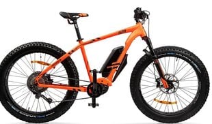 Электровелосипед GZR Dominanc-e 2.0 26" 48,3 см цена и информация | Велосипеды | hansapost.ee
