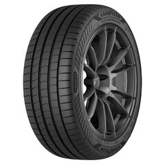 Шины для легковых автомобилей Goodyear EFFICIENTGRIP PERFORMANCE 225/55VR17 цена и информация | Летняя резина | hansapost.ee