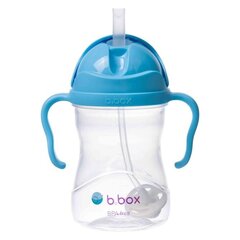 Поилка-непроливайка с клапаном B.box Blueberry, с 6 месяцев, 240 мл цена и информация | Бутылочки и аксессуары | hansapost.ee