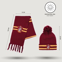 Harry Potteri Gryffindor talvekomplekt цена и информация | Костюмы и маски | hansapost.ee