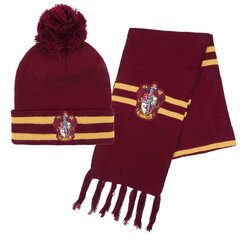 Harry Potteri Gryffindor talvekomplekt цена и информация | Костюмы и маски | hansapost.ee