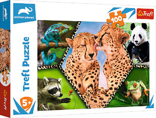 Pusle Animal Planet, 100 tk hind ja info | Pusled lastele ja täiskasvanutele | hansapost.ee