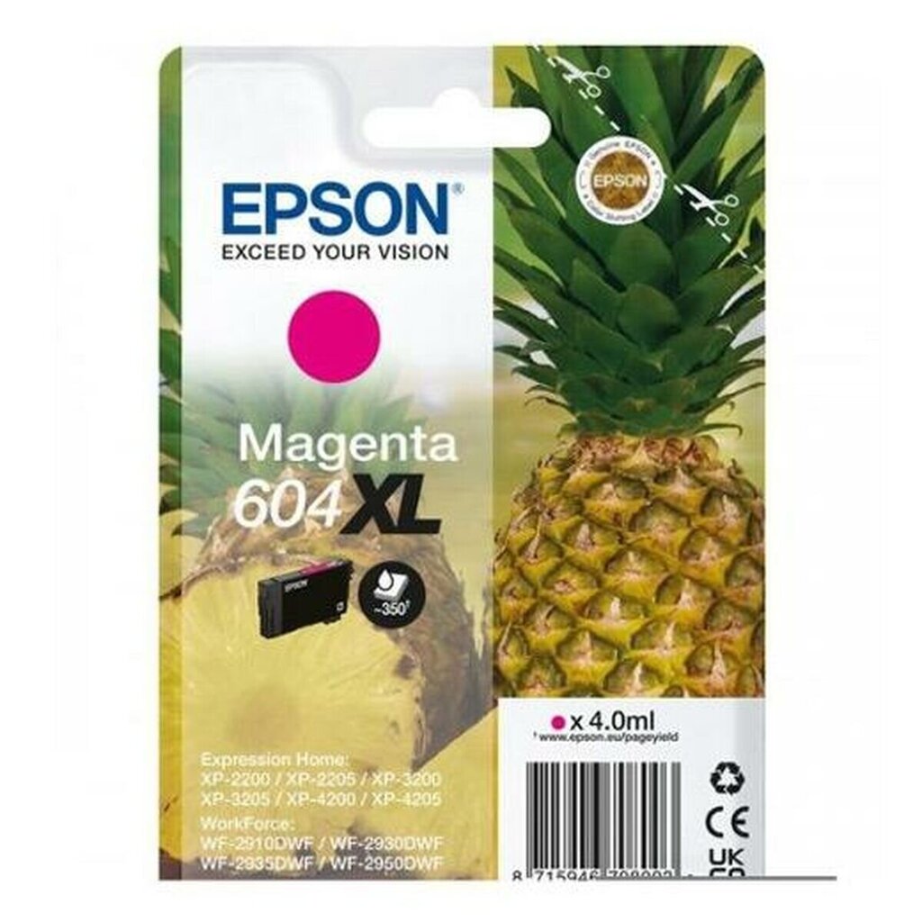 Epson 604XL, roosa hind ja info | Tindiprinteri kassetid | hansapost.ee