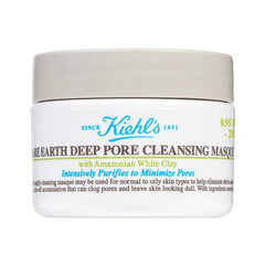 Очищающая маска для лица Kiehl'S Ladies Rare Earth Deep Pore Cleansing Masque, 125 мл цена и информация | Маски для лица, патчи для глаз | hansapost.ee