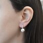 Naiste kõrvarõngad Evolution Group hind ja info | Kõrvarõngad | hansapost.ee