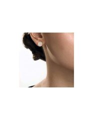 Naiste kõrvarõngad Guess, kullatud Swarovski hind ja info | Kõrvarõngad | hansapost.ee