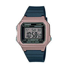 Casio Collection meeste käekell цена и информация | Мужские часы | hansapost.ee