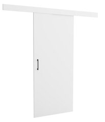 Раздвижная дверь-ниша Brent Lucas 70, белый цвет цена и информация | Шкафы | hansapost.ee