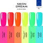 Geel-küünelakkide komplekt Sincero Salon Neon Dream, 6 tk. x 6 ml hind ja info | Küünelakid ja küünelakieemaldajad | hansapost.ee
