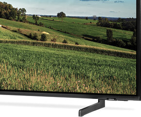 Samsung QE75Q65BAUXXN цена и информация | Телевизоры | hansapost.ee