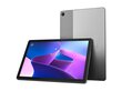 Lenovo TAB M10 3 gen, LTE, 4/64GB, Grey цена и информация | Tahvelarvutid | hansapost.ee