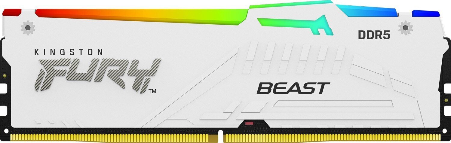 Kingston Fury Beast RGB (KF560C36BWEA-16) hind ja info | Operatiivmälu | hansapost.ee