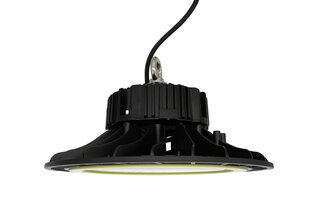 Eurolight UFO NEVADA светильник для высоких помещений 150Вт цена и информация | Монтируемые светильники, светодиодные панели | hansapost.ee