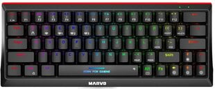 Marvo KG980B TKL 60% беспроводной механическая клавиатура с подсветкой RGB (US, Blue switch) цена и информация | Клавиатуры | hansapost.ee