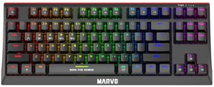 Marvo KG953W TKL 80% juhtmevaba mehaaniline RGB klaviatuur (US, Red and Blue switch) hind ja info | Klaviatuurid | hansapost.ee