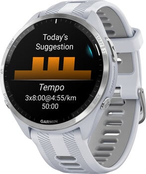 Garmin Forerunner® 965 Whitestone/Powder Grey hind ja info | Nutikellad, laste nutikellad | hansapost.ee