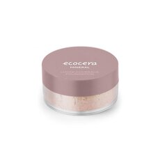 Минеральная пудра Ecocera Loose Mineral Covering W4 Monaco, 4 г цена и информация | Пудры, базы под макияж | hansapost.ee