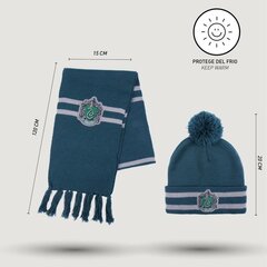 Harry Potteri Slytherini talvekomplekt price and information | Hats, scarves, gloves for boys | hansapost.ee