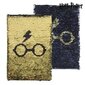 Märkmik Harry Potter hind ja info | Vihikud, märkmikud ja paberikaubad | hansapost.ee