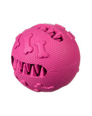 Barry King, pall Hambad, roosa hind ja info | Koerte mänguasjad | hansapost.ee