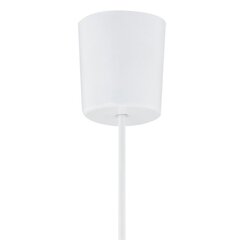 TK Lighting подвесной светильник Rondo цена и информация | Люстры | hansapost.ee