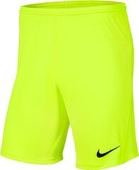 Meeste lühikesed püksid Nike BV6855 702, roheline hind ja info | Lühikesed püksid meestele | hansapost.ee