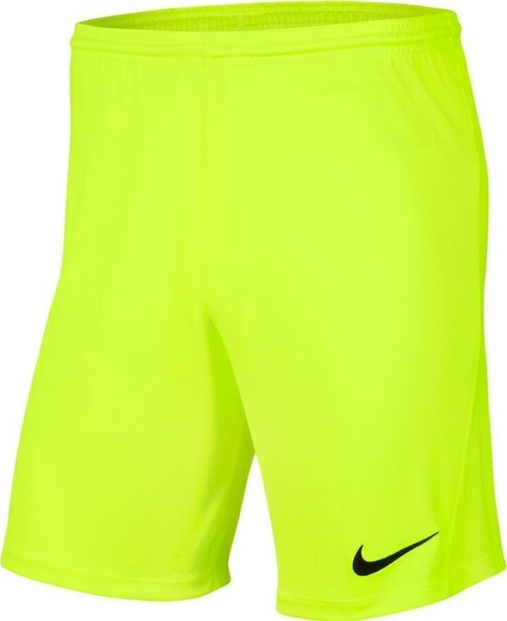 Meeste lühikesed püksid Nike BV6855 702, roheline цена и информация | Lühikesed püksid meestele | hansapost.ee