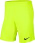 Meeste lühikesed püksid Nike BV6855 702, roheline цена и информация | Lühikesed püksid meestele | hansapost.ee