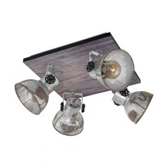 Потолочный светильник Eglo Barnstaple цена и информация | Потолочные светильники | hansapost.ee
