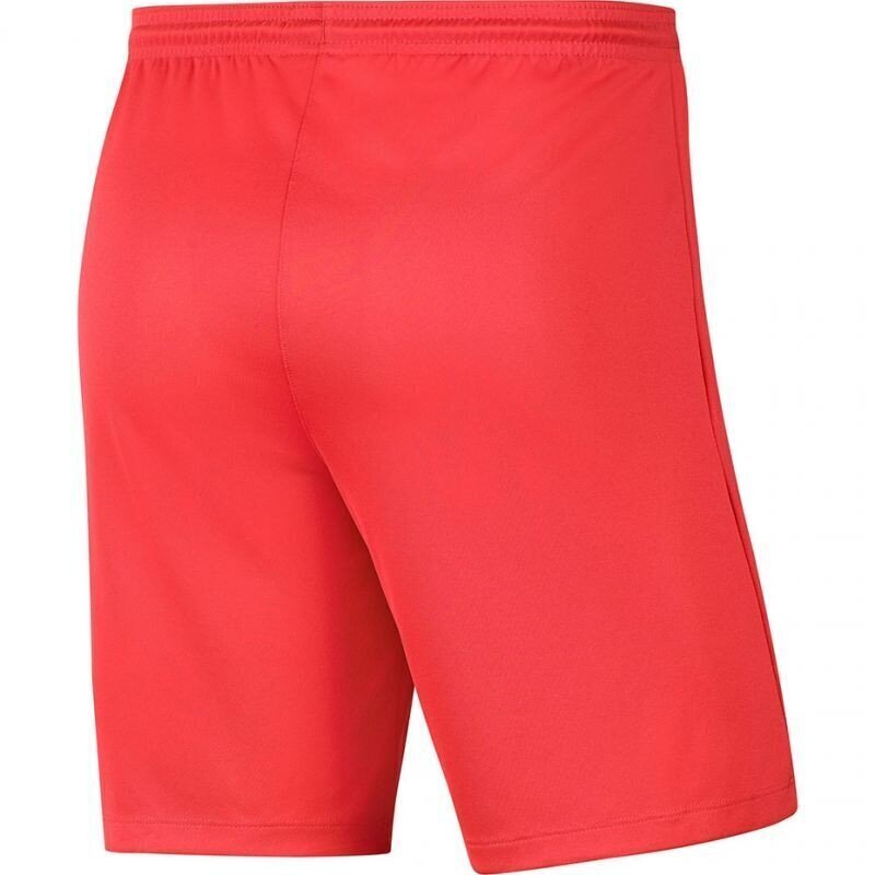 Meeste lühikesed püksid Nike Dry Park III NB KM BV6855 635, roosad hind ja info | Lühikesed püksid meestele | hansapost.ee