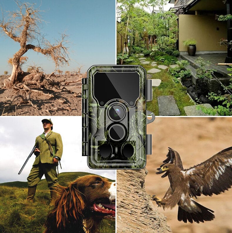 Sjcam M50 woodland green hind ja info | Seikluskaamerad, GoPro | hansapost.ee