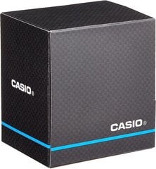 Casio Collection käekell hind ja info | Casio Mobiiltelefonid, fotokaamerad, nutiseadmed | hansapost.ee
