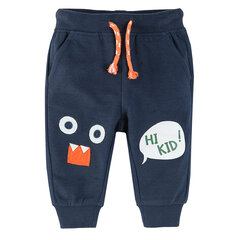 Cool Club штаны для мальчиков, CCB2500460 цена и информация | Штаны для мальчиков | hansapost.ee