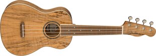 Kontsert ukulele Fender Zuma Exotic hind ja info | Kitarrid | hansapost.ee
