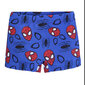 Cool Club ujumispüksid poistele Spiderman, LCB2513017 hind ja info | Ujumispüksid poistele | hansapost.ee