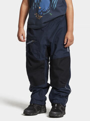 Детские весенне-осенние брюки Didriksons IDUR, темно-синий цвет цена и информация | Штаны для мальчиков | hansapost.ee