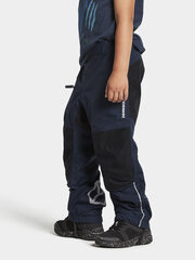 Детские весенне-осенние брюки Didriksons IDUR, темно-синий цвет цена и информация | Шорты для мальчиков | hansapost.ee