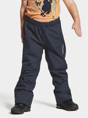 Детские весенне-осенние брюки Didriksons IDUR, темно-синий цвет цена и информация | Didriksons Одежда для мальчиков | hansapost.ee