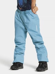 Детские брюки Didriksons весна-осень IDUR, бирюзовый цвет цена и информация | Didriksons Одежда для мальчиков | hansapost.ee
