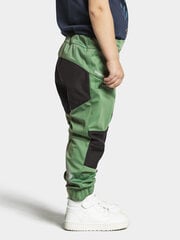 Didriksons весенне-осенние детские штаны softshell LÖVET, зеленого цвета цена и информация | Didriksons Одежда для мальчиков | hansapost.ee
