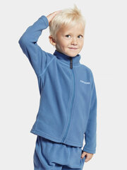 Детский шерстяной свитер Didriksons MONTE, бирюзовый цвет цена и информация | Didriksons Одежда для мальчиков | hansapost.ee
