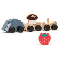 Деревянный паровозик Ежик цена и информация | Игрушки для малышей | hansapost.ee