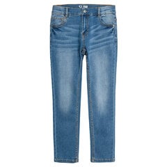 Cool Club джинсы для мальчиков, CJB2520654 цена и информация | Штаны для мальчиков | hansapost.ee