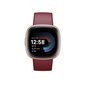 Fitbit Versa 4 Beet Juice/Copper Rose hind ja info | Nutikellad, laste nutikellad | hansapost.ee