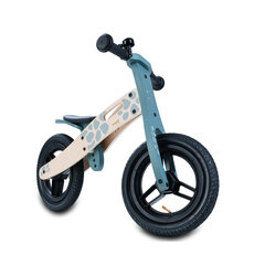 Hauck Balance N Ride tasakaaluratas, kilpkonn hind ja info | Jooksurattad lastele | hansapost.ee