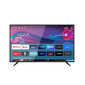 Allview 43iPlay6000-F цена и информация | Televiisorid | hansapost.ee