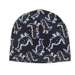 Cool Club шапочка для мальчиков, CAB2531063 цена и информация | Шапки, перчатки, шарфы для мальчиков | hansapost.ee